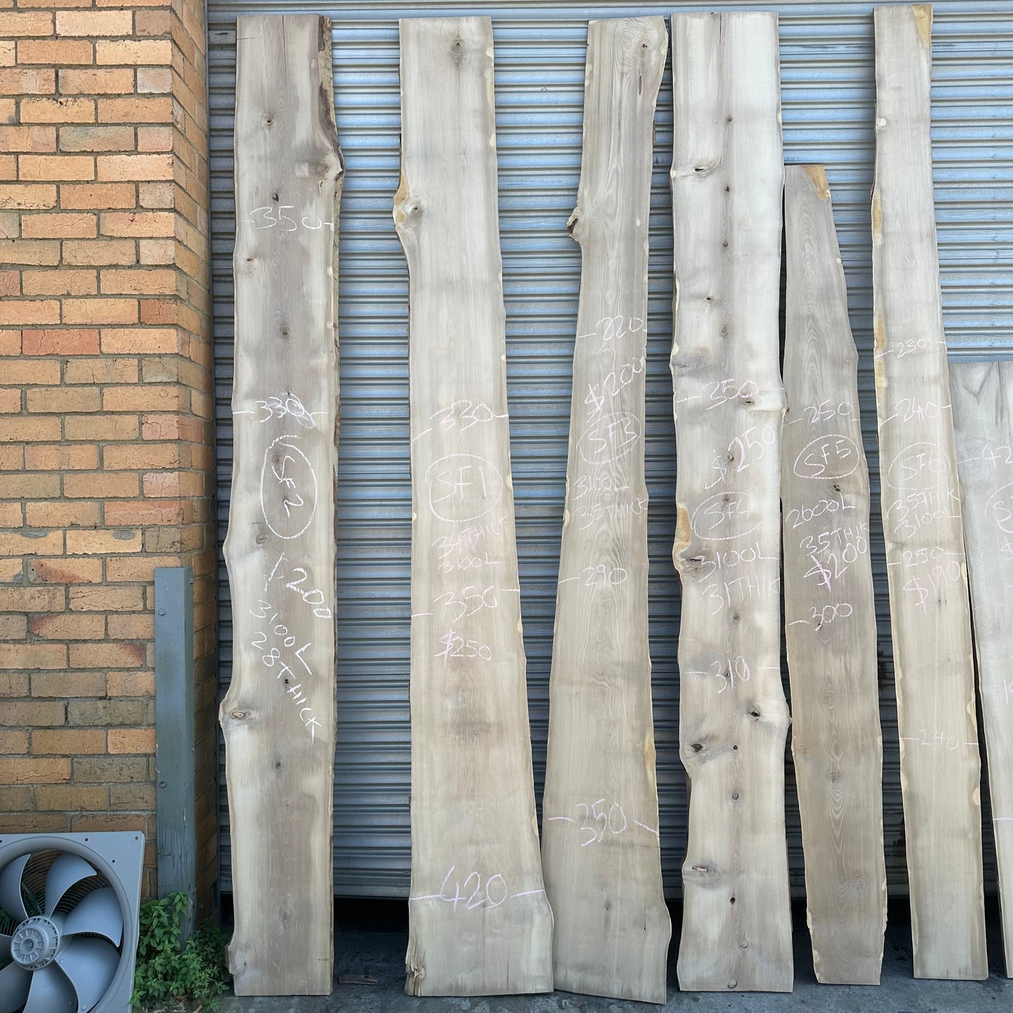 Sassafras Slabs - Plain, Spalted and Blackheart Sassafras - 35 to 38mm Thick
