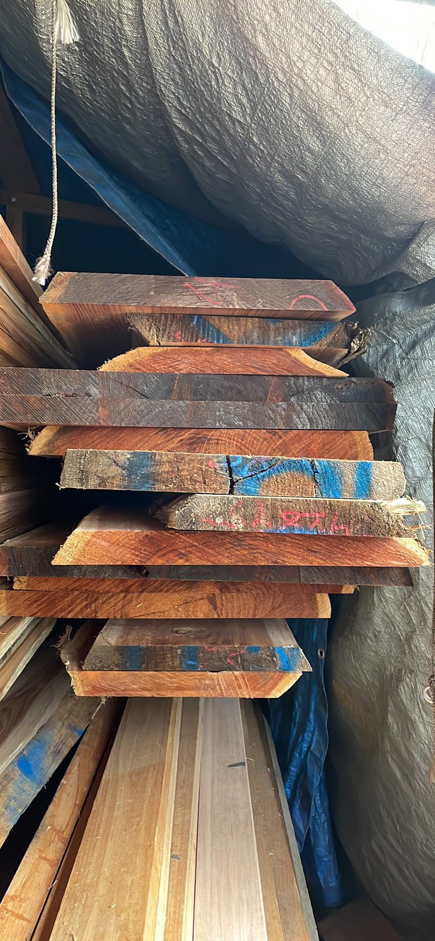 Kiln Dried Tasmanian Blackwood Slabs 38mm Thick
