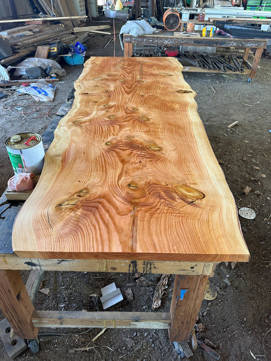 Atlas Cedar Slabs — Wind Fallen, Kallista VIC