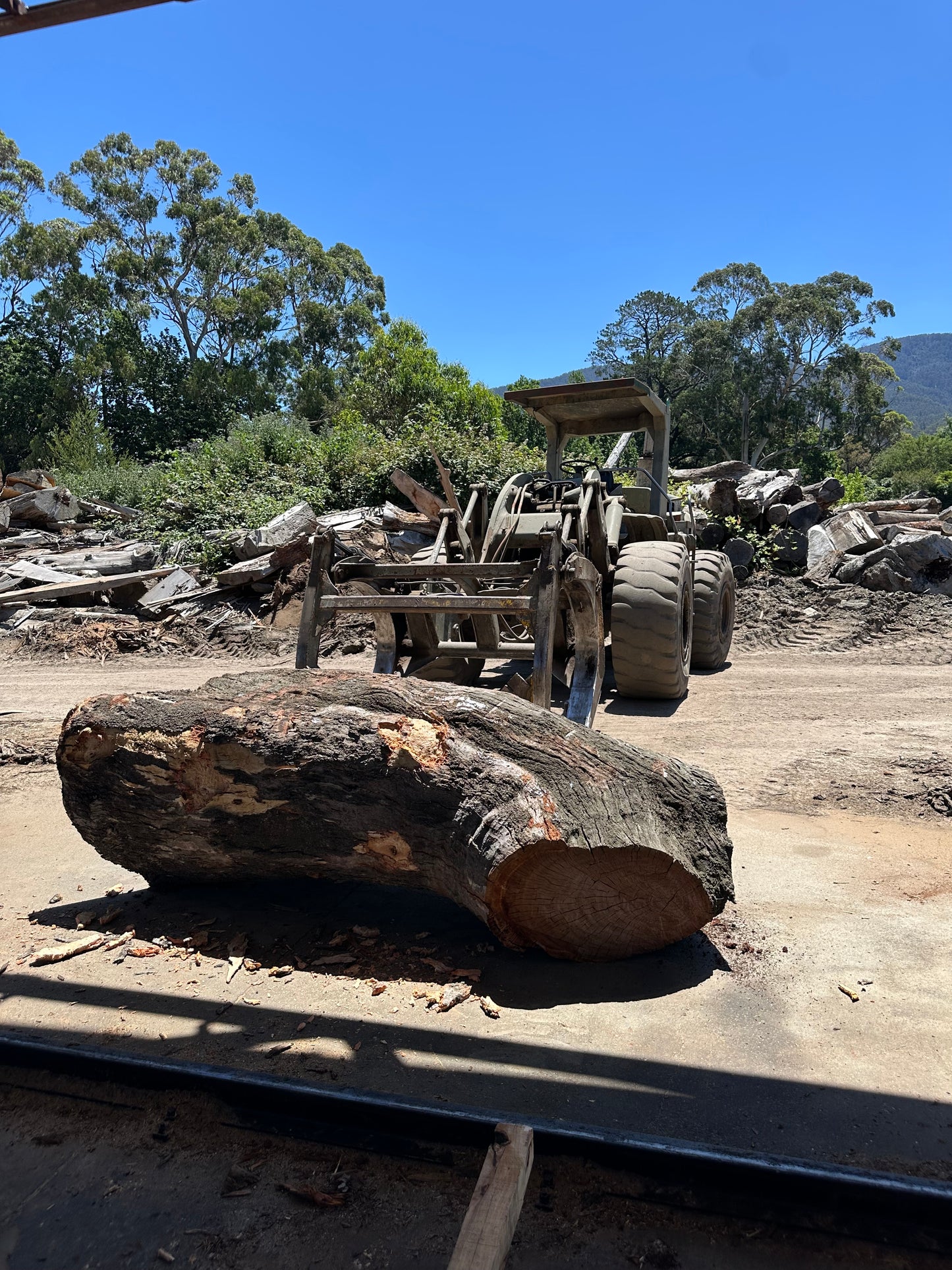 Sculptural Timbers