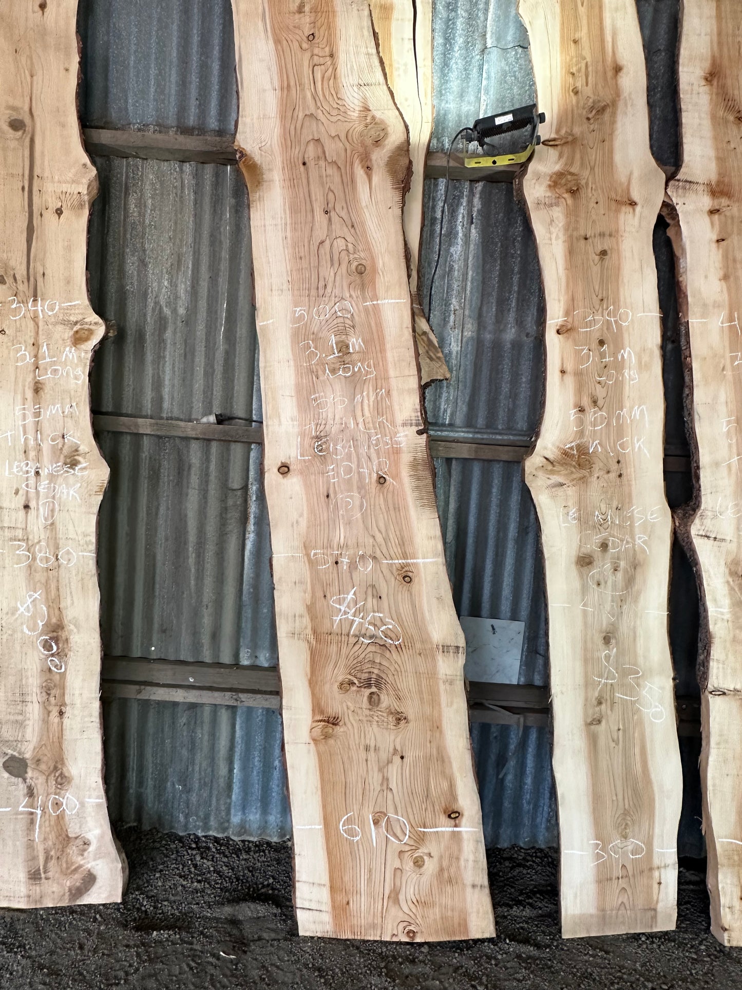 Atlas Cedar Slabs — Wind Fallen, Kallista VIC