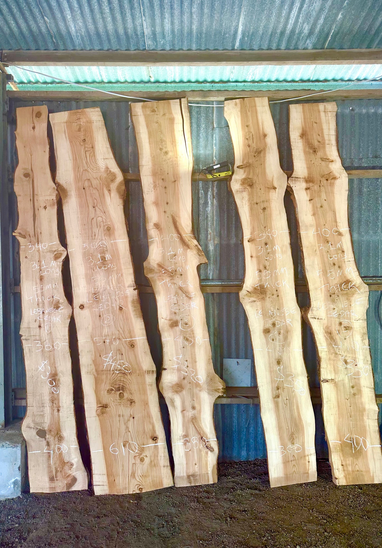 Atlas Cedar Slabs — Wind Fallen, Kallista VIC