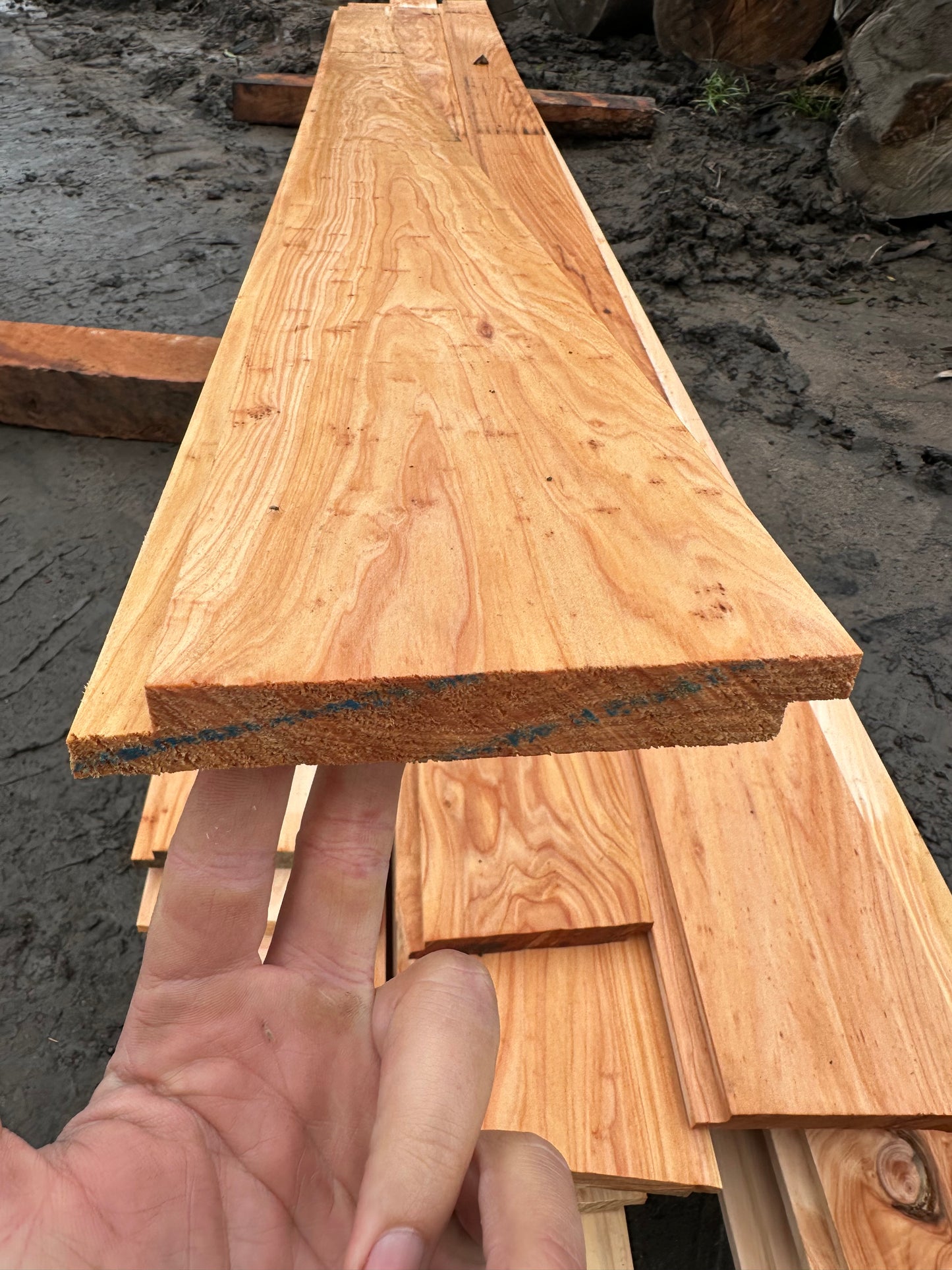 Macrocarpa Cypress Shiplap Cladding – 150 x 22mm (130mm Cover)
