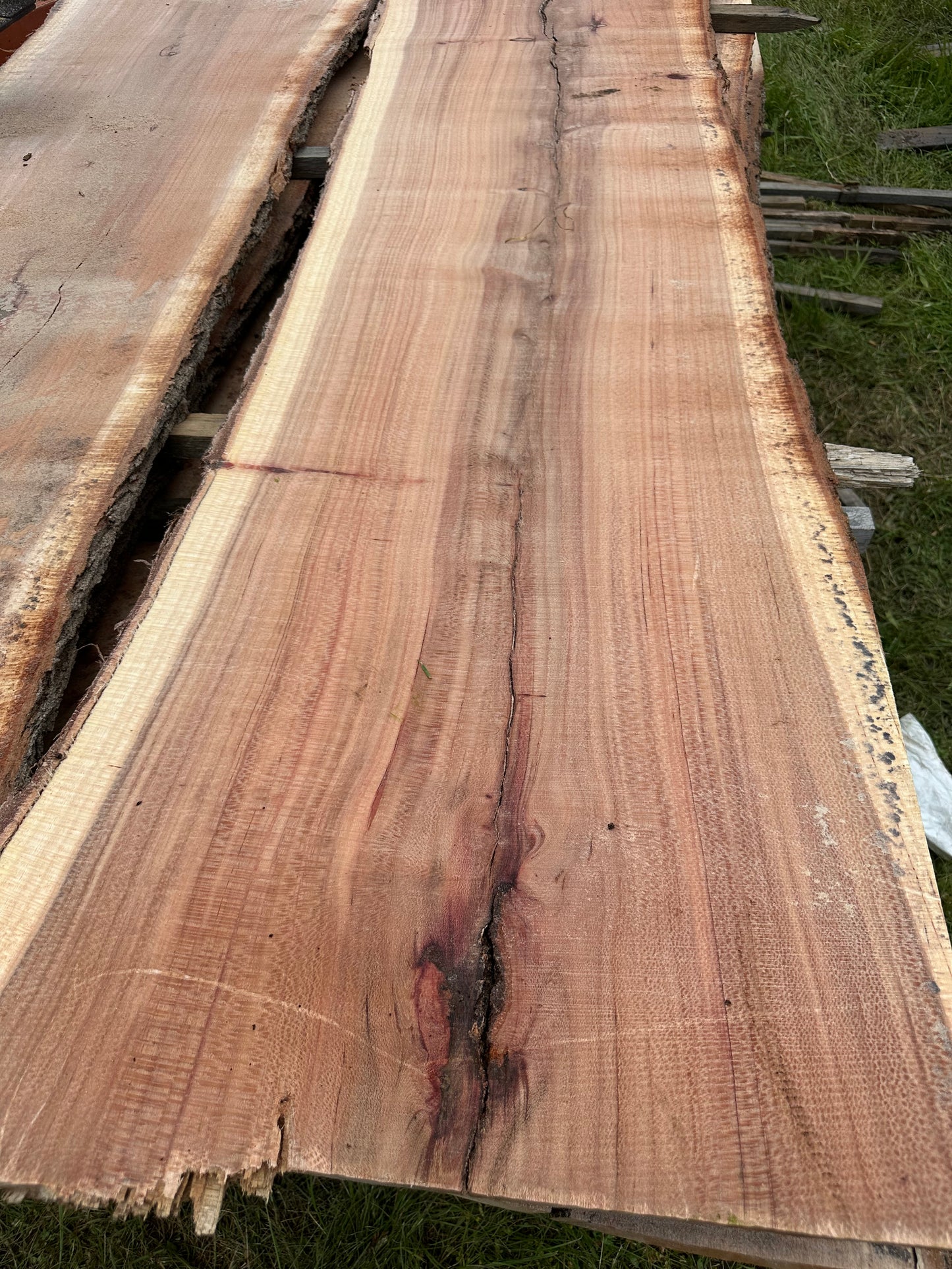 Silky Oak Slabs