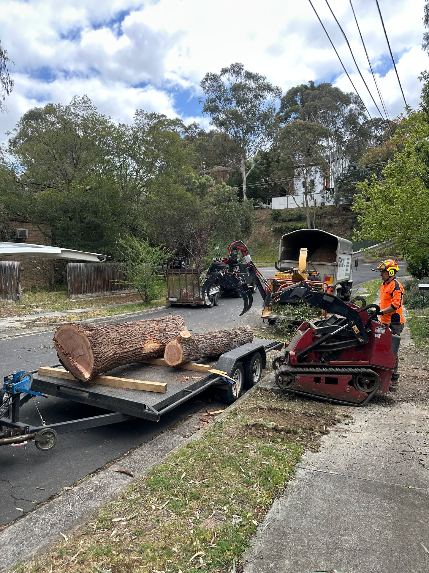 Silky Oak Slabs