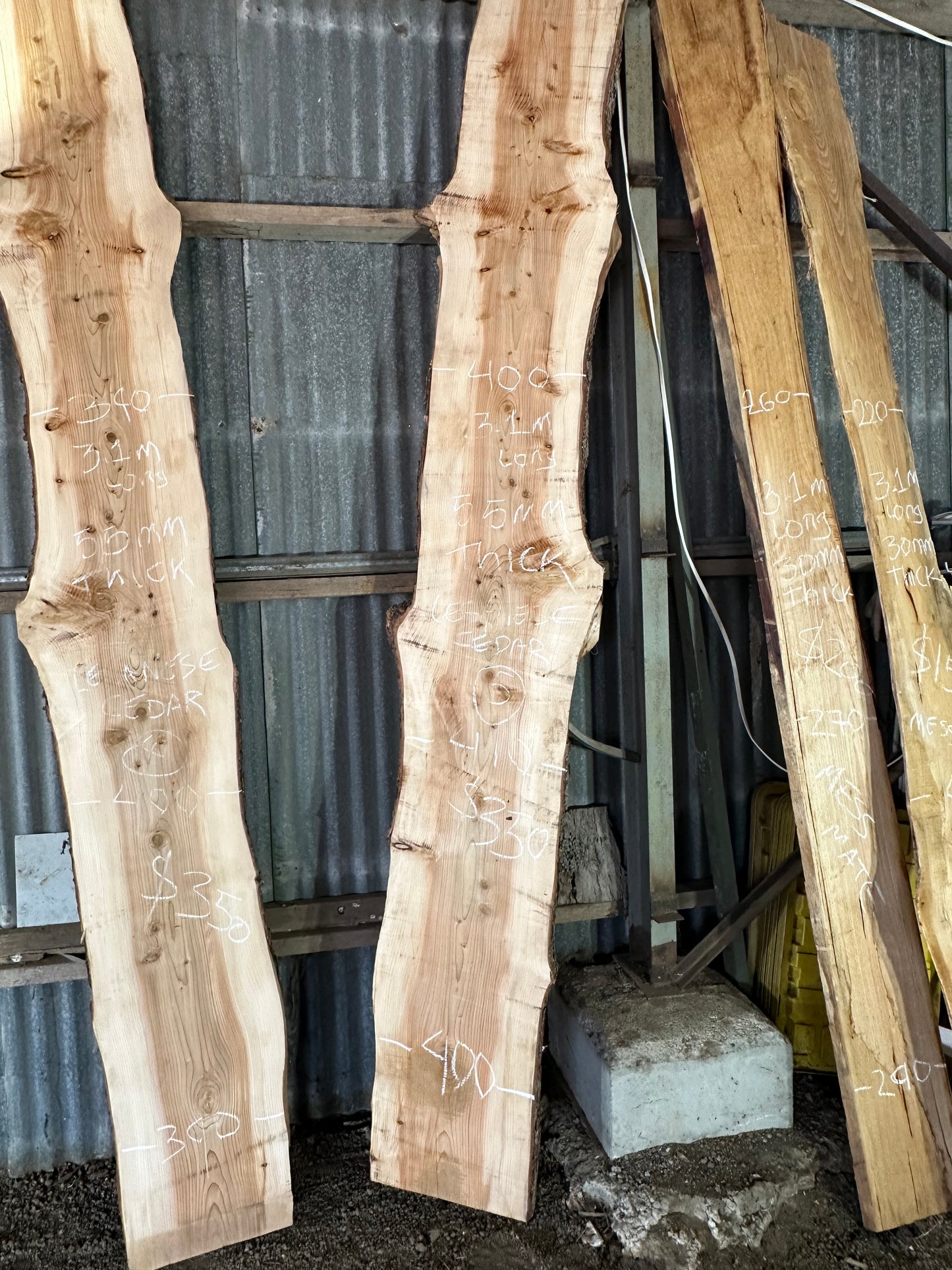 Atlas Cedar Slabs — Wind Fallen, Kallista VIC