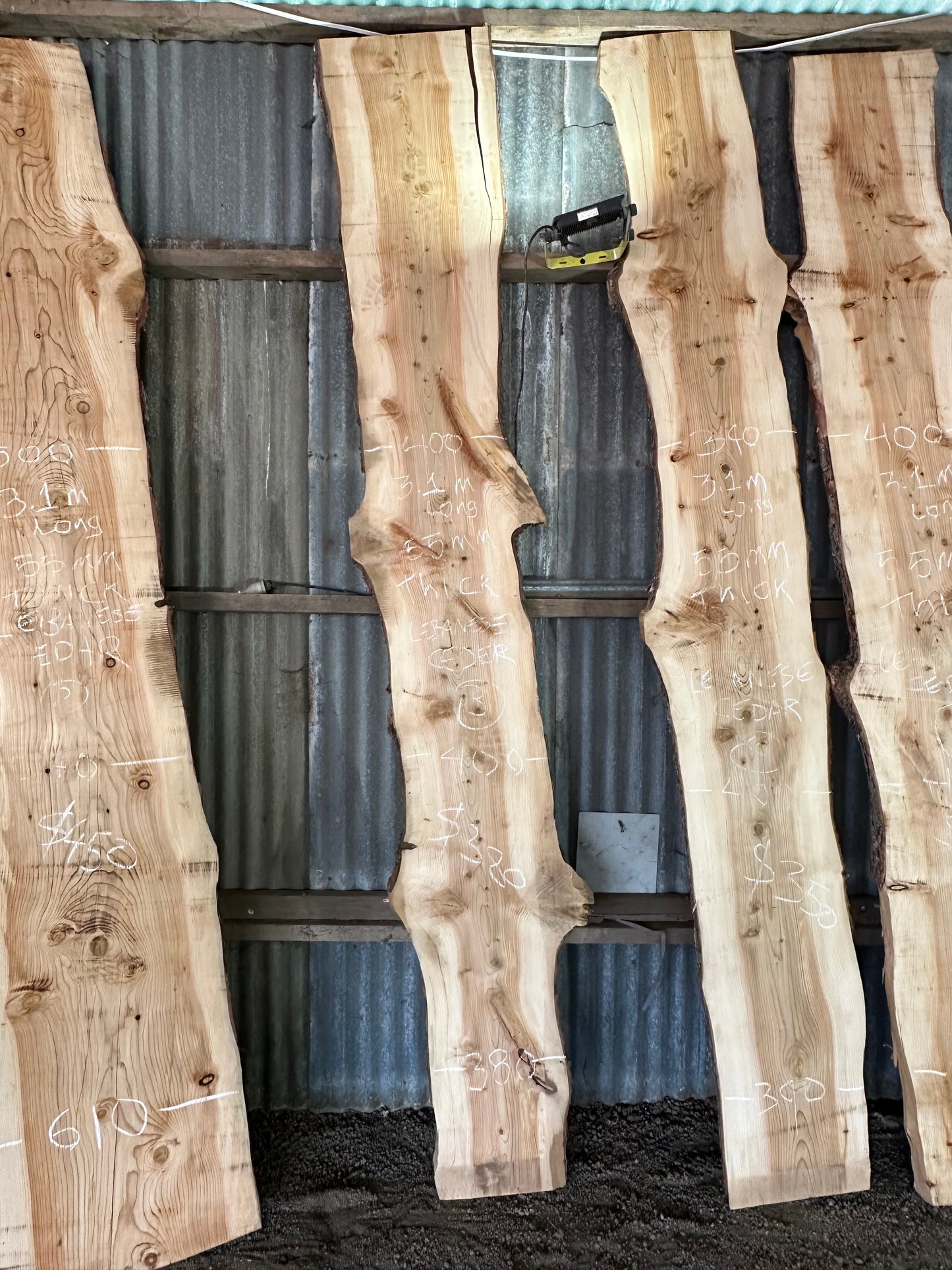 Atlas Cedar Slabs — Wind Fallen, Kallista VIC