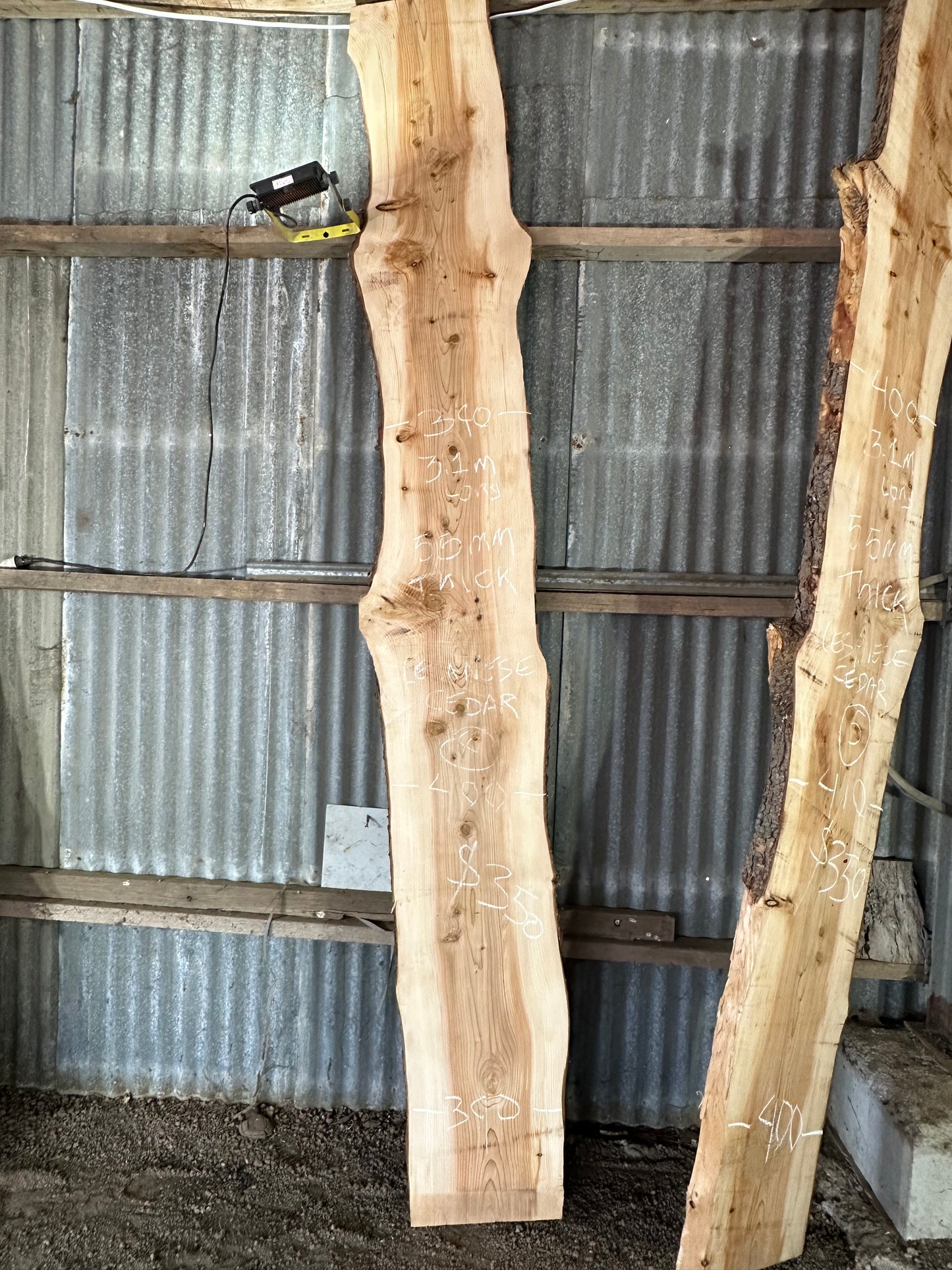 Atlas Cedar Slabs — Wind Fallen, Kallista VIC