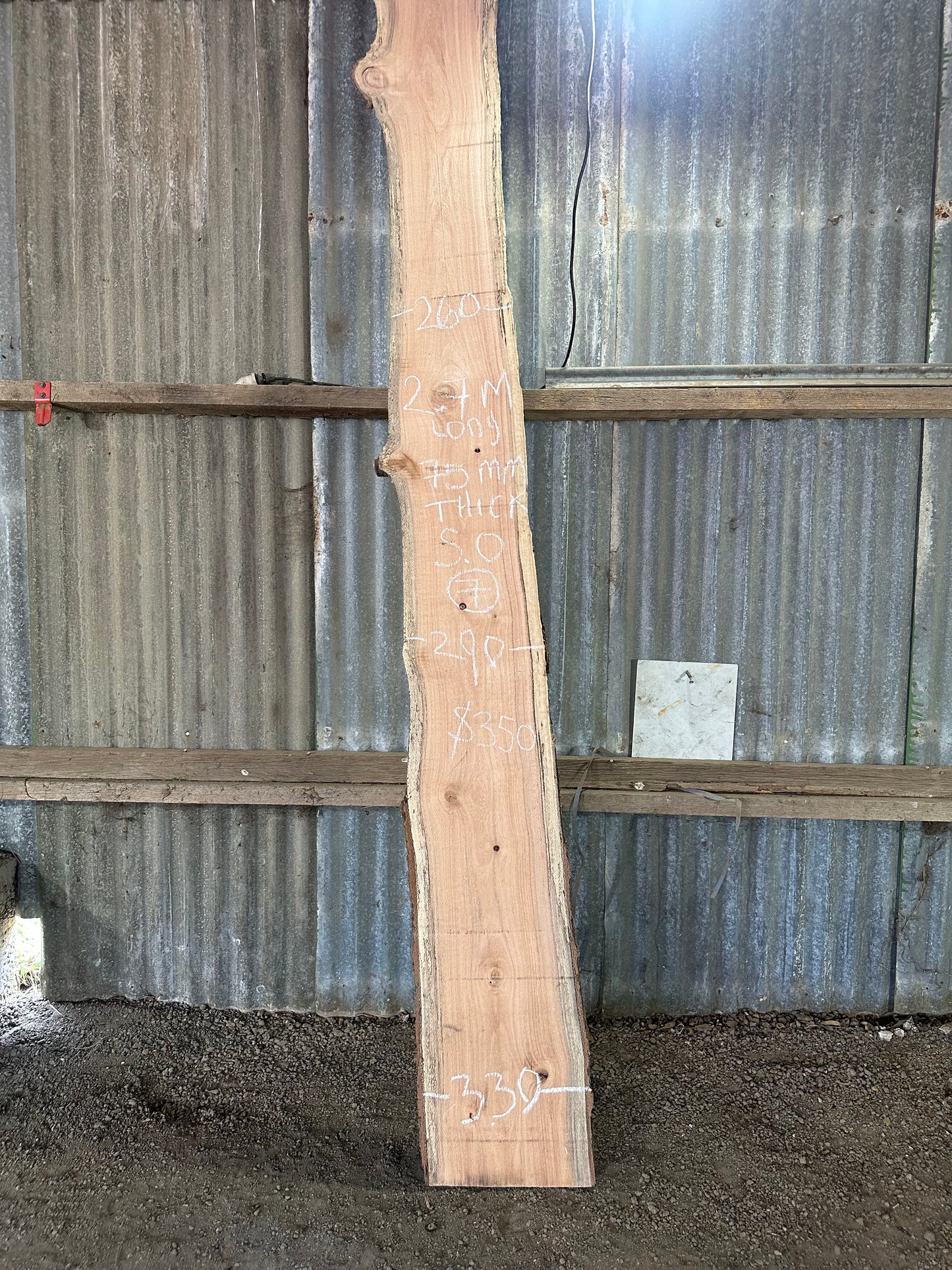 Silky Oak Slabs