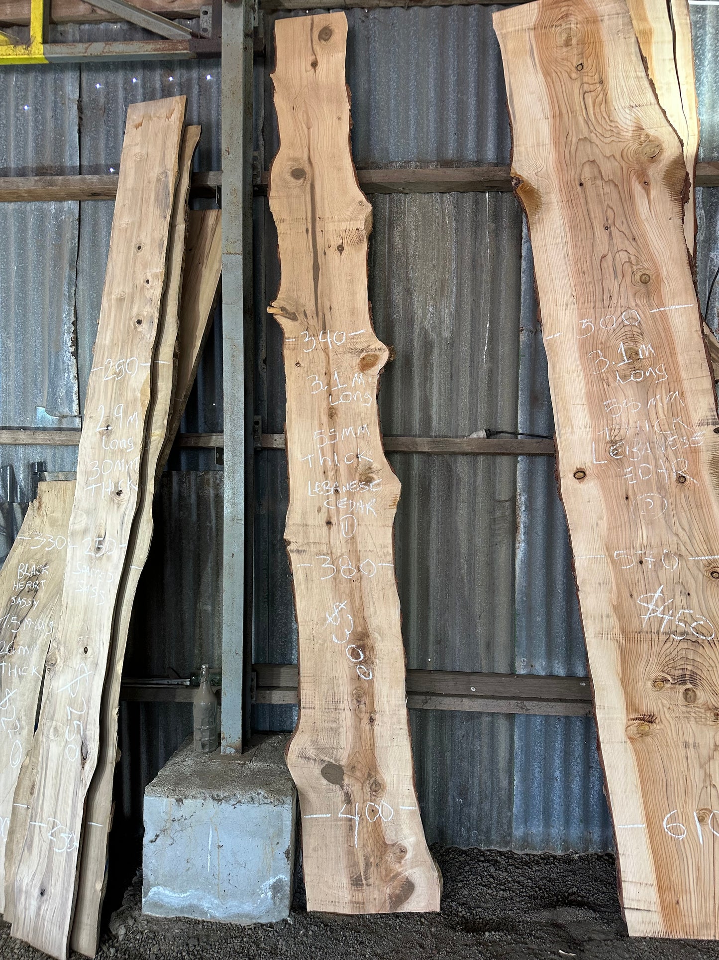 Atlas Cedar Slabs — Wind Fallen, Kallista VIC