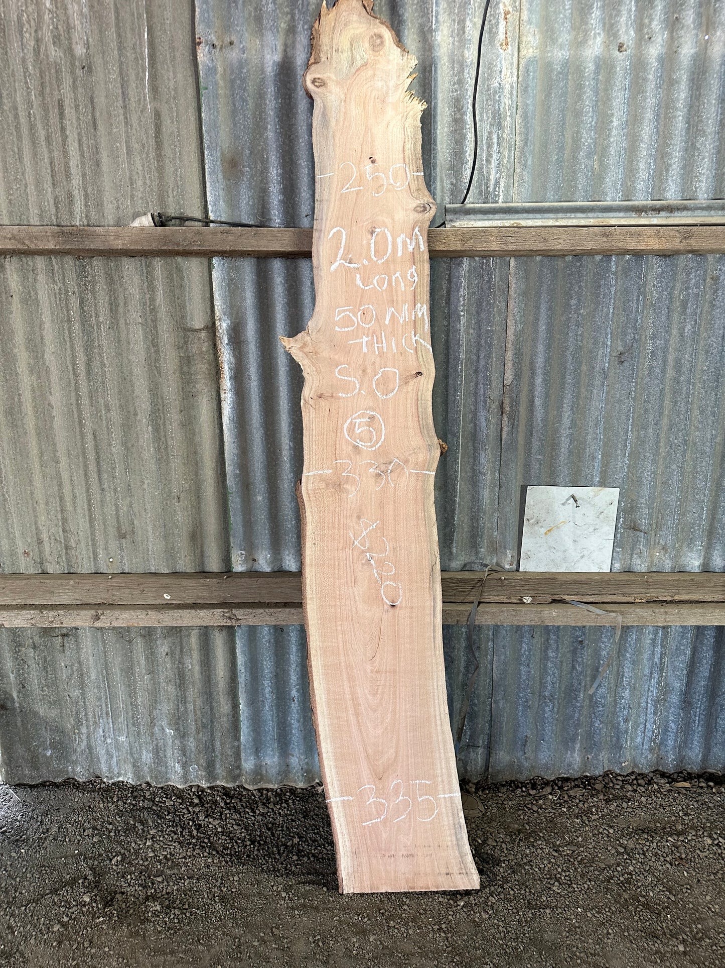 Silky Oak Slabs