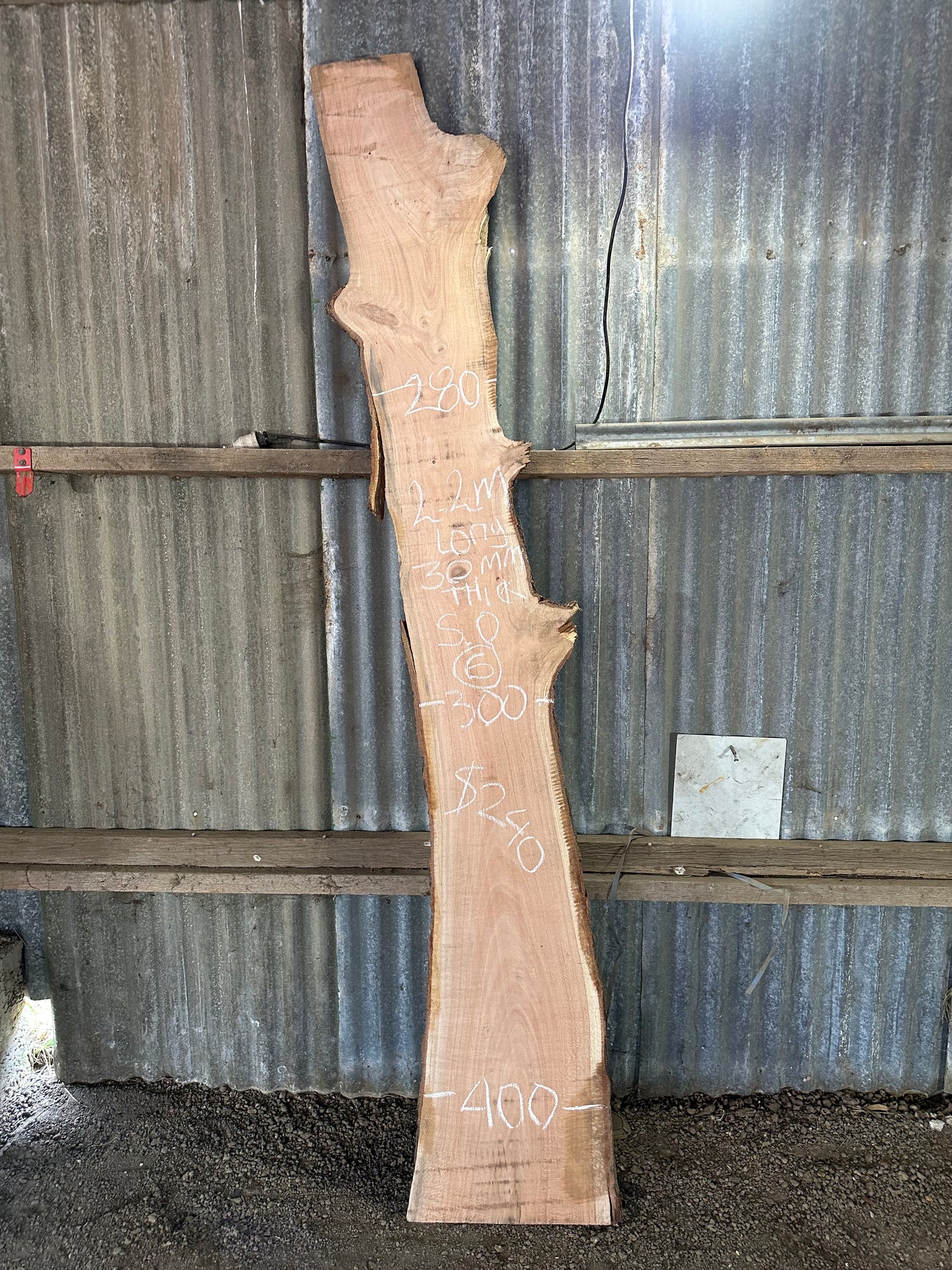 Silky Oak Slabs