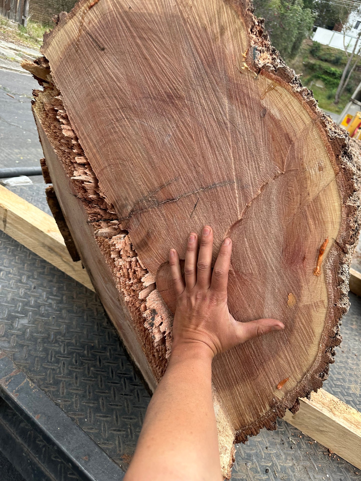 Silky Oak Slabs