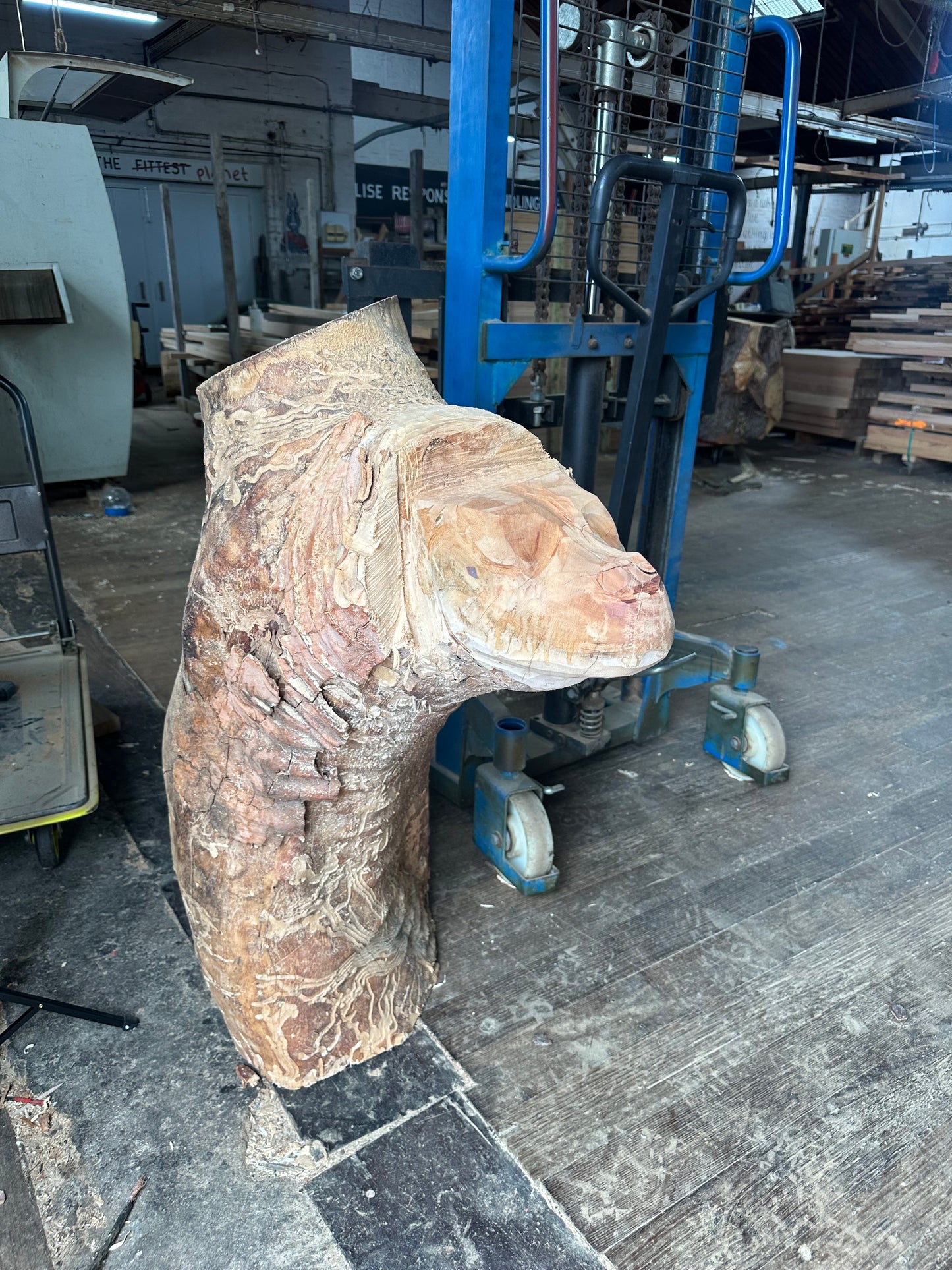 Sculptural Timbers