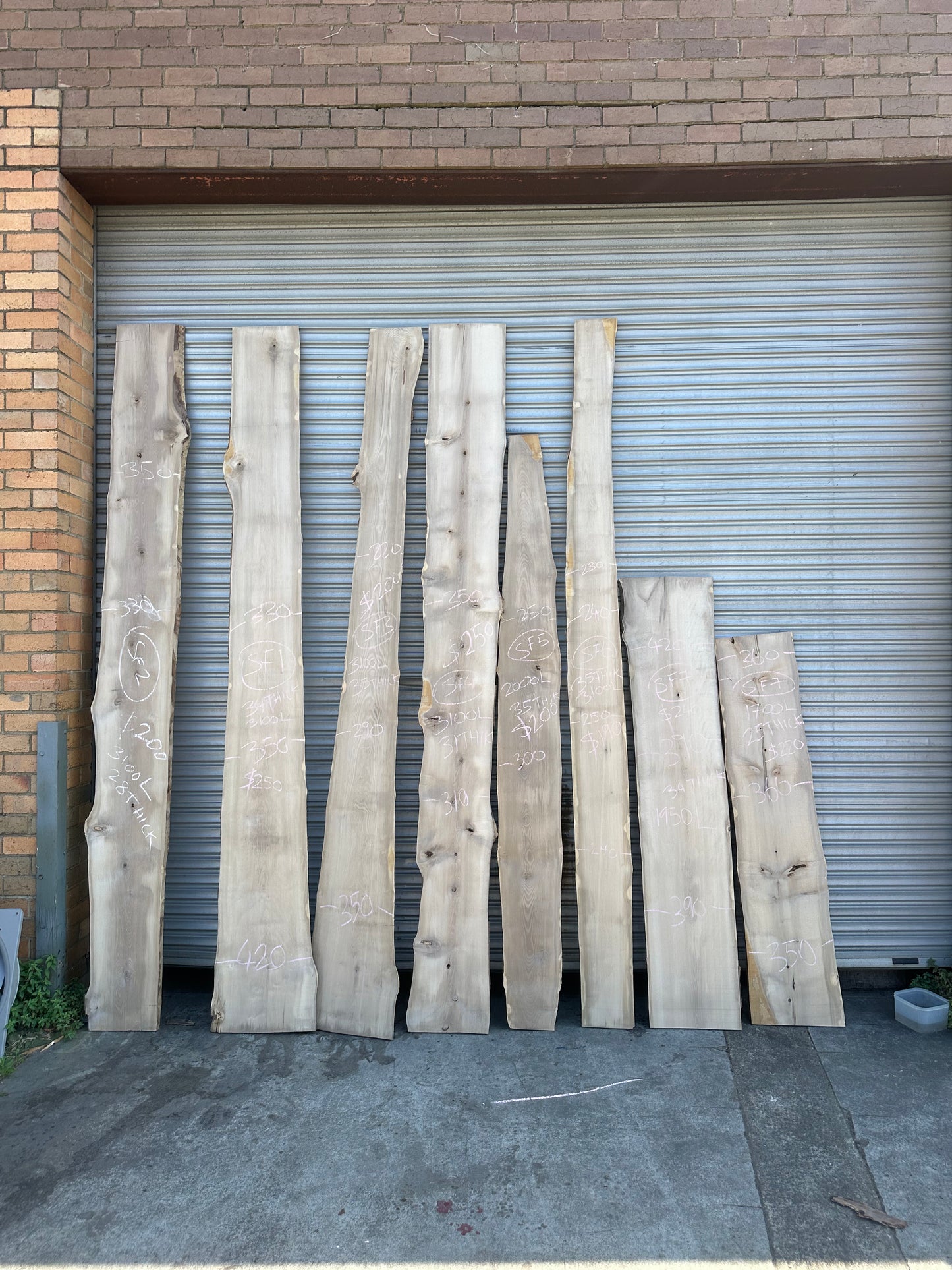 Sassafras Slabs - Plain, Spalted and Blackheart Sassafras - 35 to 38mm Thick