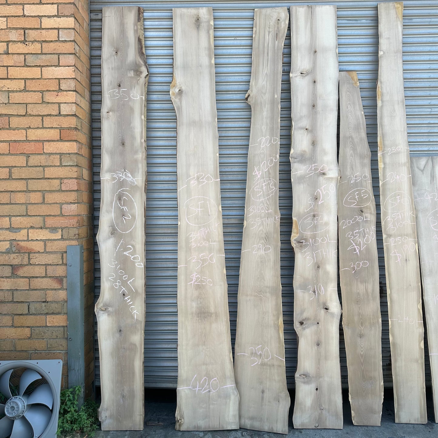 Sassafras Slabs - Plain, Spalted and Blackheart Sassafras - 35 to 38mm Thick