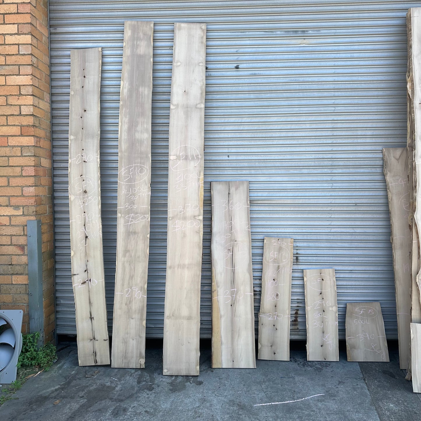 Sassafras Slabs - Plain, Spalted and Blackheart Sassafras - 35 to 38mm Thick