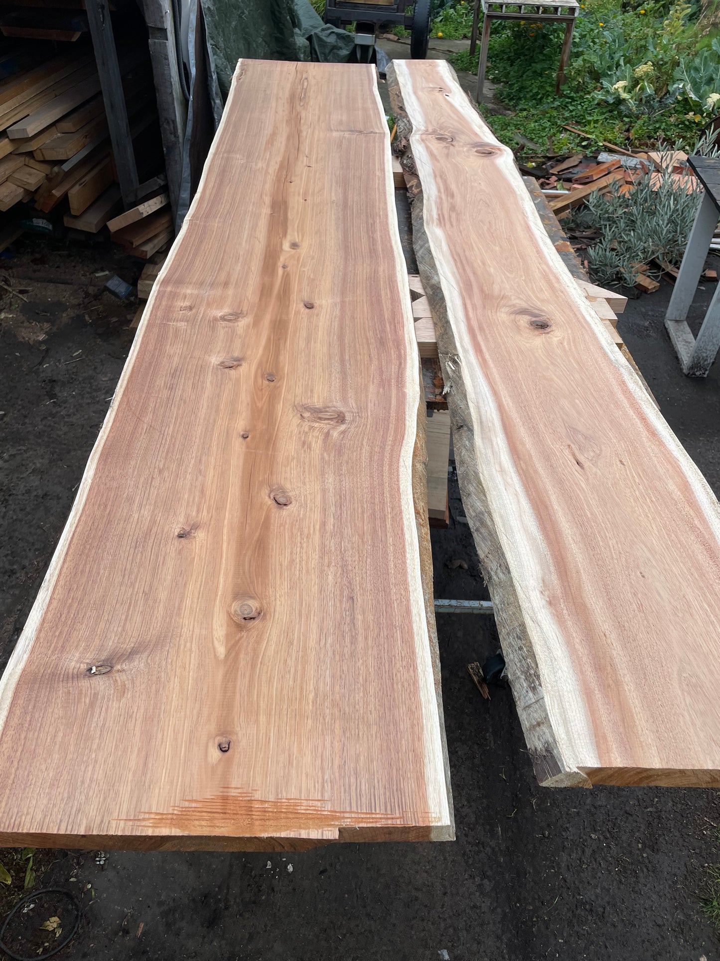 Kiln Dried Tasmanian Blackwood Slabs 38mm Thick