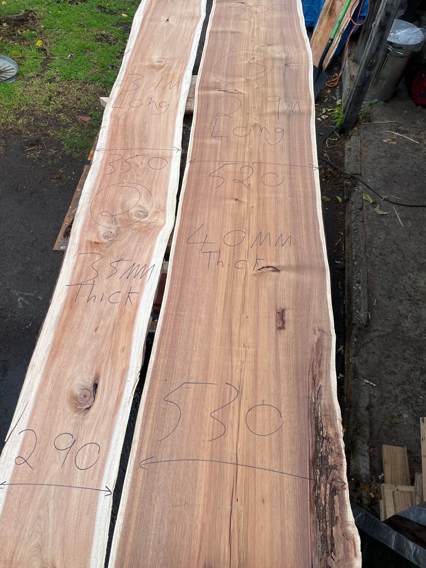 Kiln Dried Tasmanian Blackwood Slabs 38mm Thick