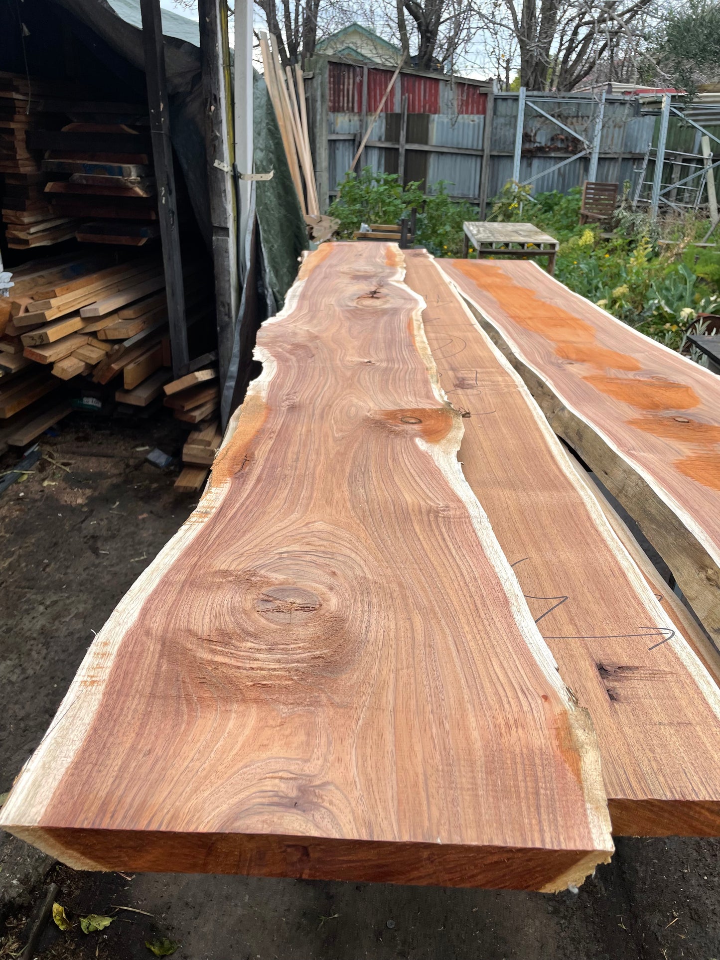 Kiln Dried Tasmanian Blackwood Slabs 38mm Thick