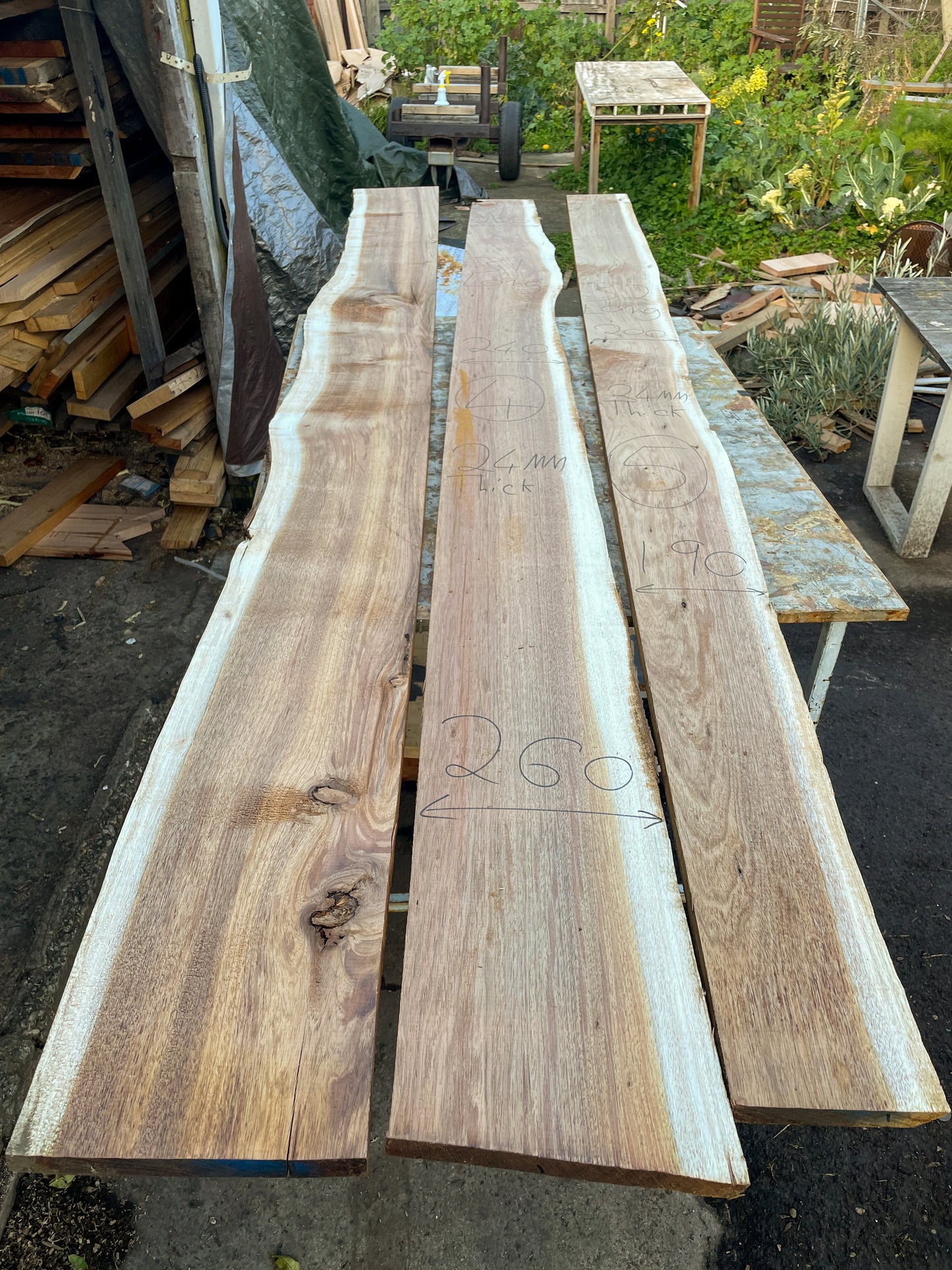 Kiln Dried Tasmanian Blackwood Slabs 24mm Thick, Single Live Edge