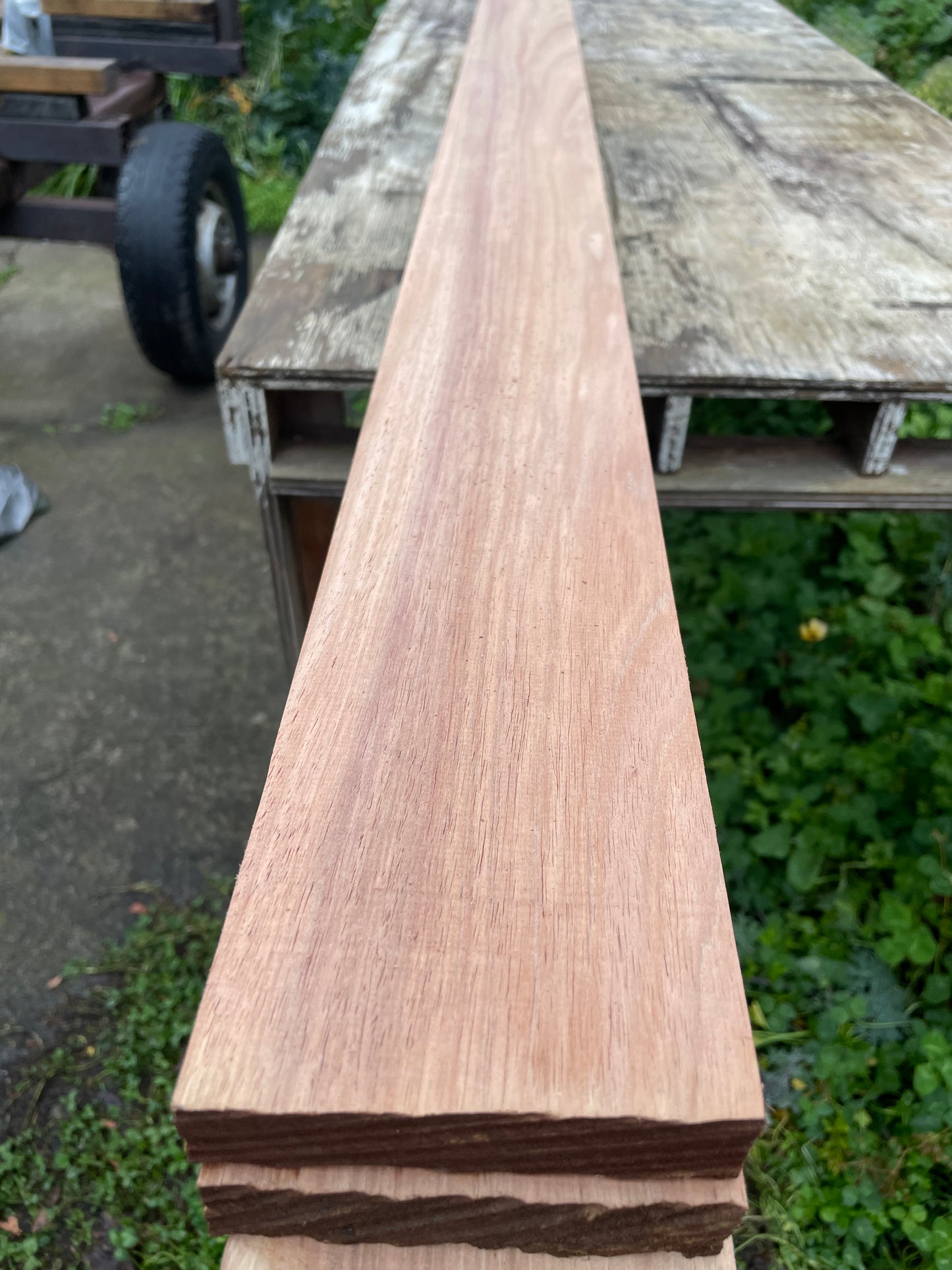 Kiln Dried Tasmanian Blackwood Dressed All Round (DAR) - 100x24mm, 3m lengths