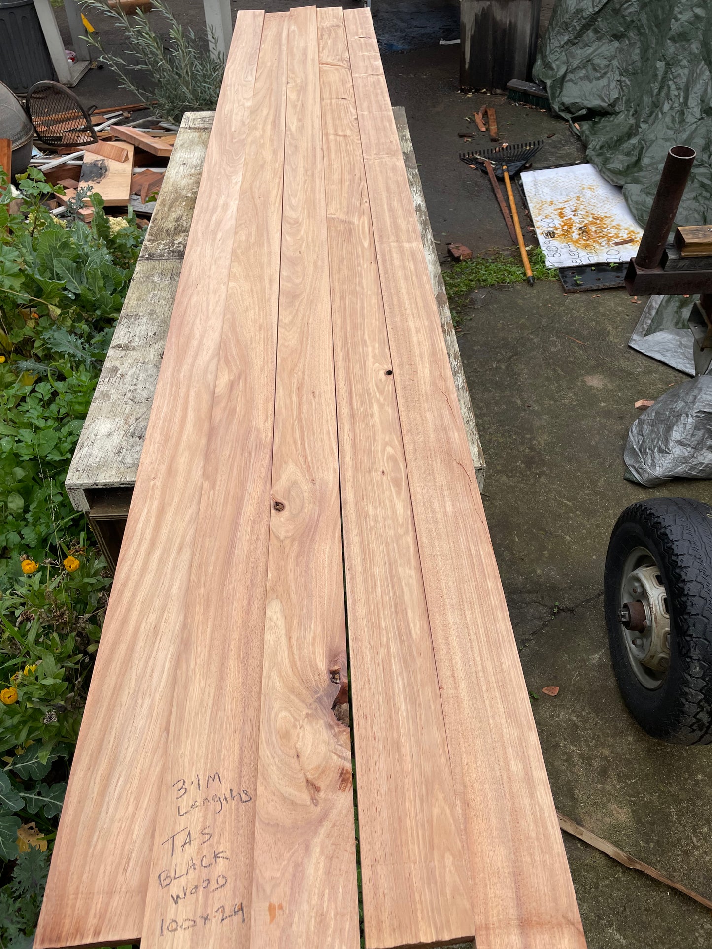 Kiln Dried Tasmanian Blackwood Dressed All Round (DAR) - 100x24mm, 3m lengths