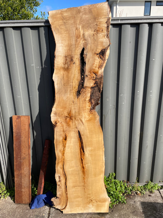 Sassafras Slabs - Plain, Spalted and Blackheart Sassafras - 35 to 38mm Thick