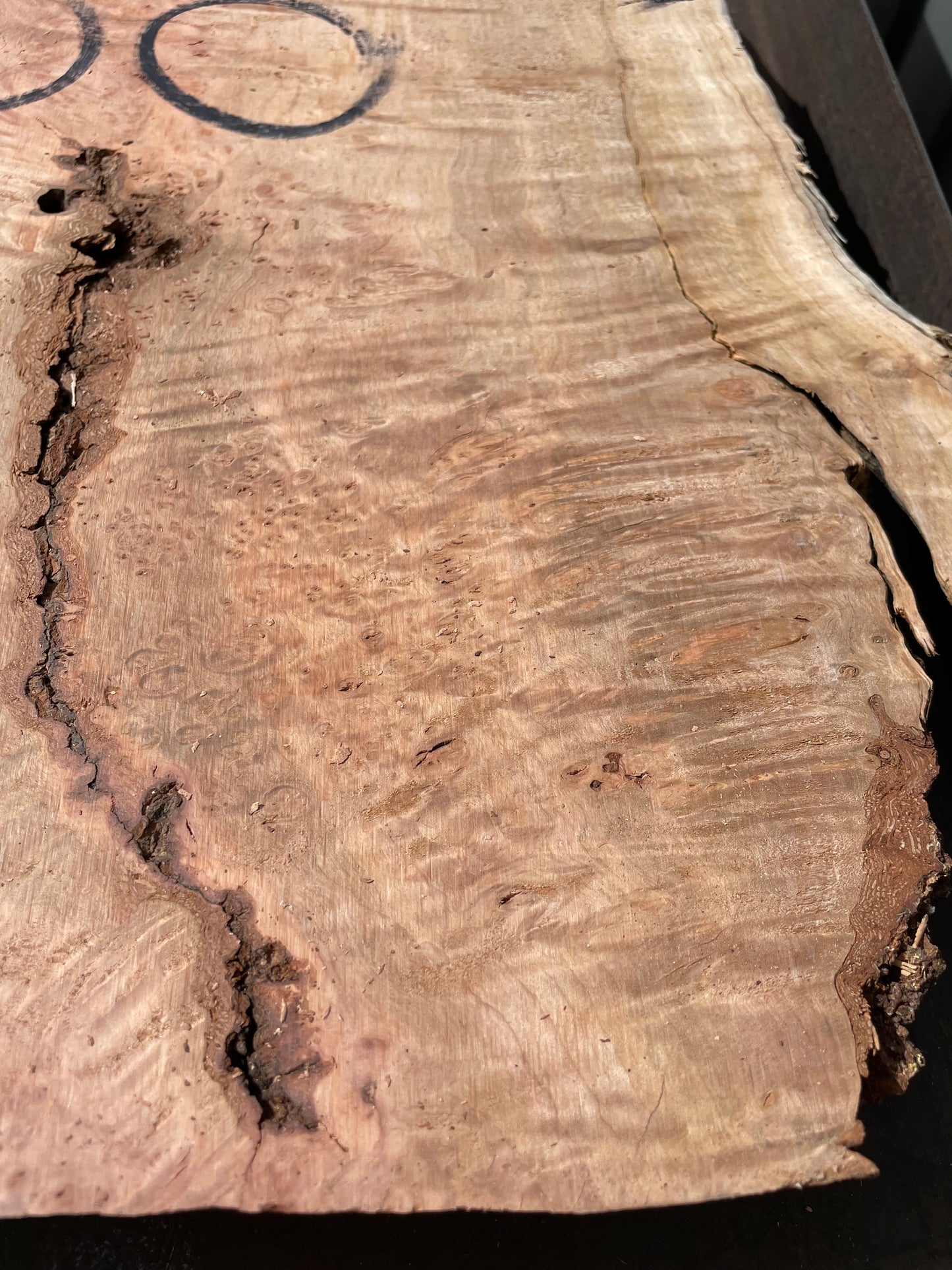 Slab of Figured Tasmanian Myrtle