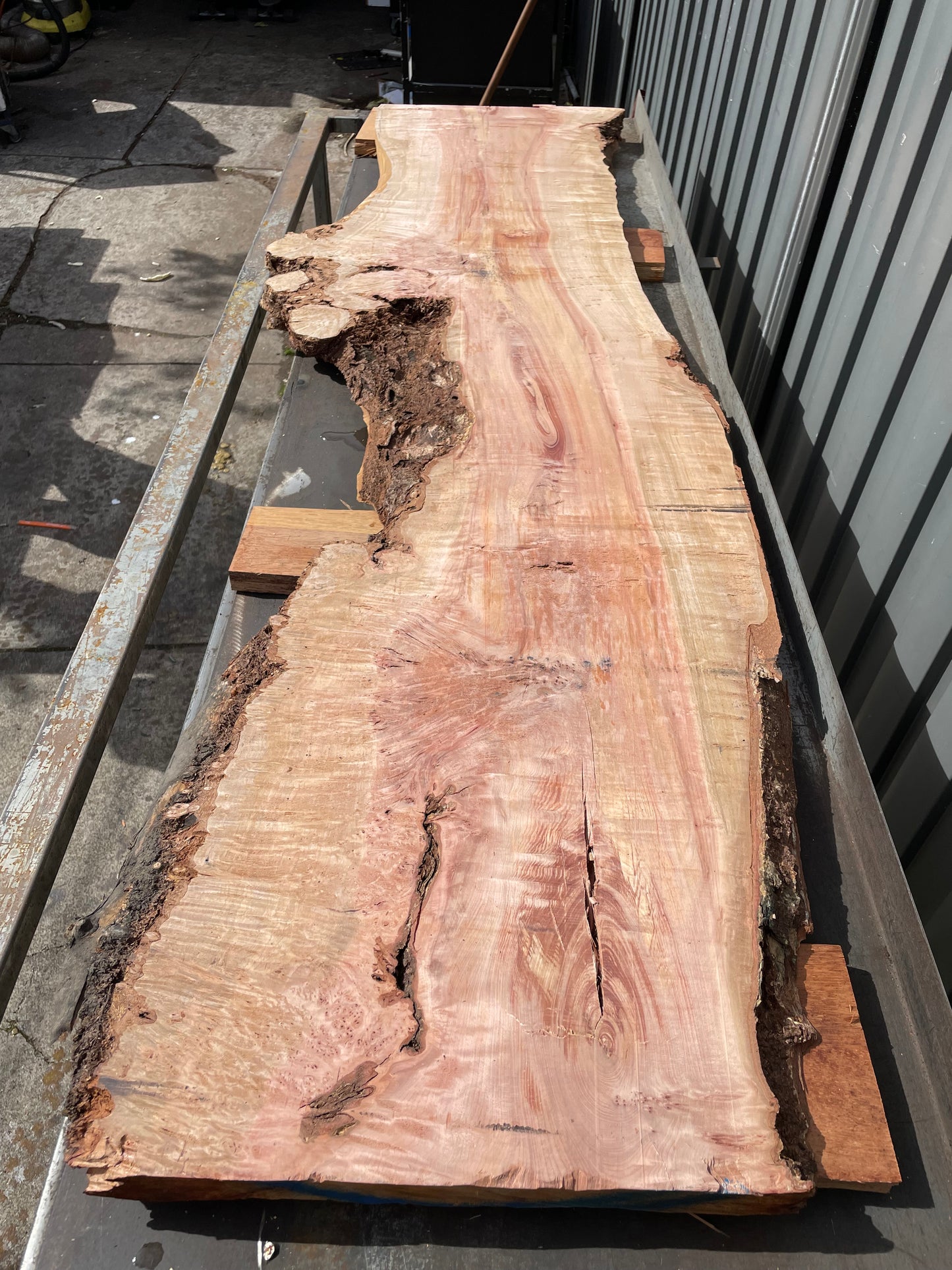 Slab of Figured Tasmanian Myrtle