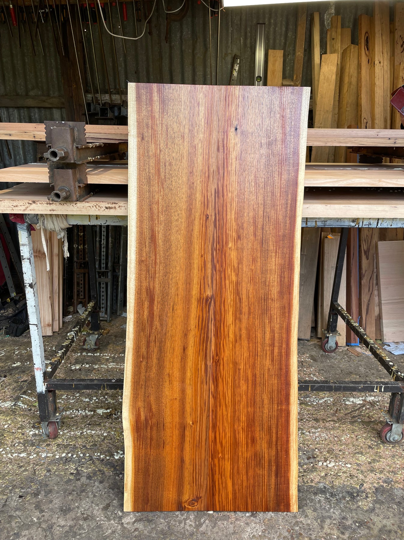 Sanded and Sealed Live Edge Timber Slabs Tassie Blackwood and Other